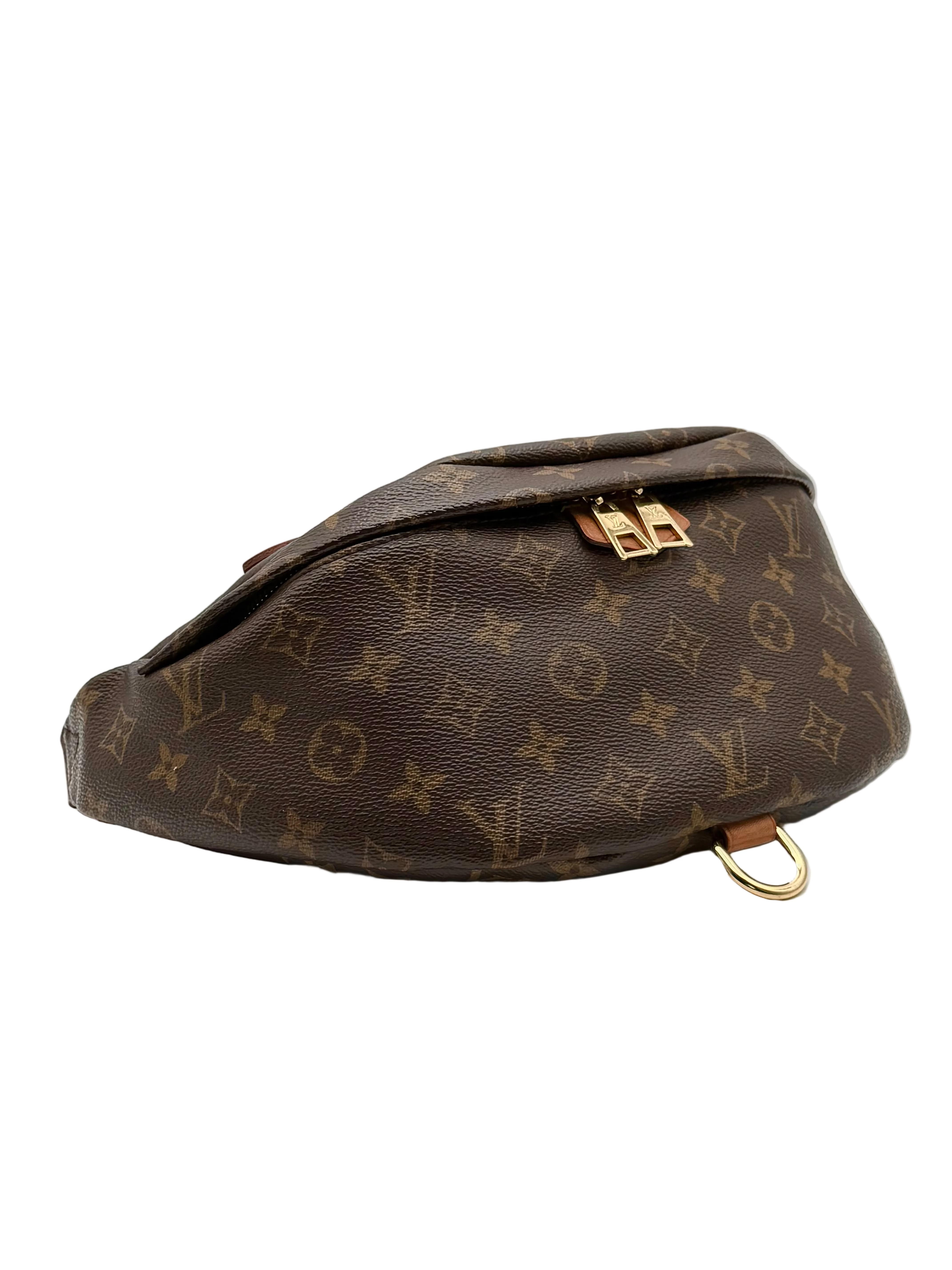 Louis Vuitton Monogram Canvas Bumbag