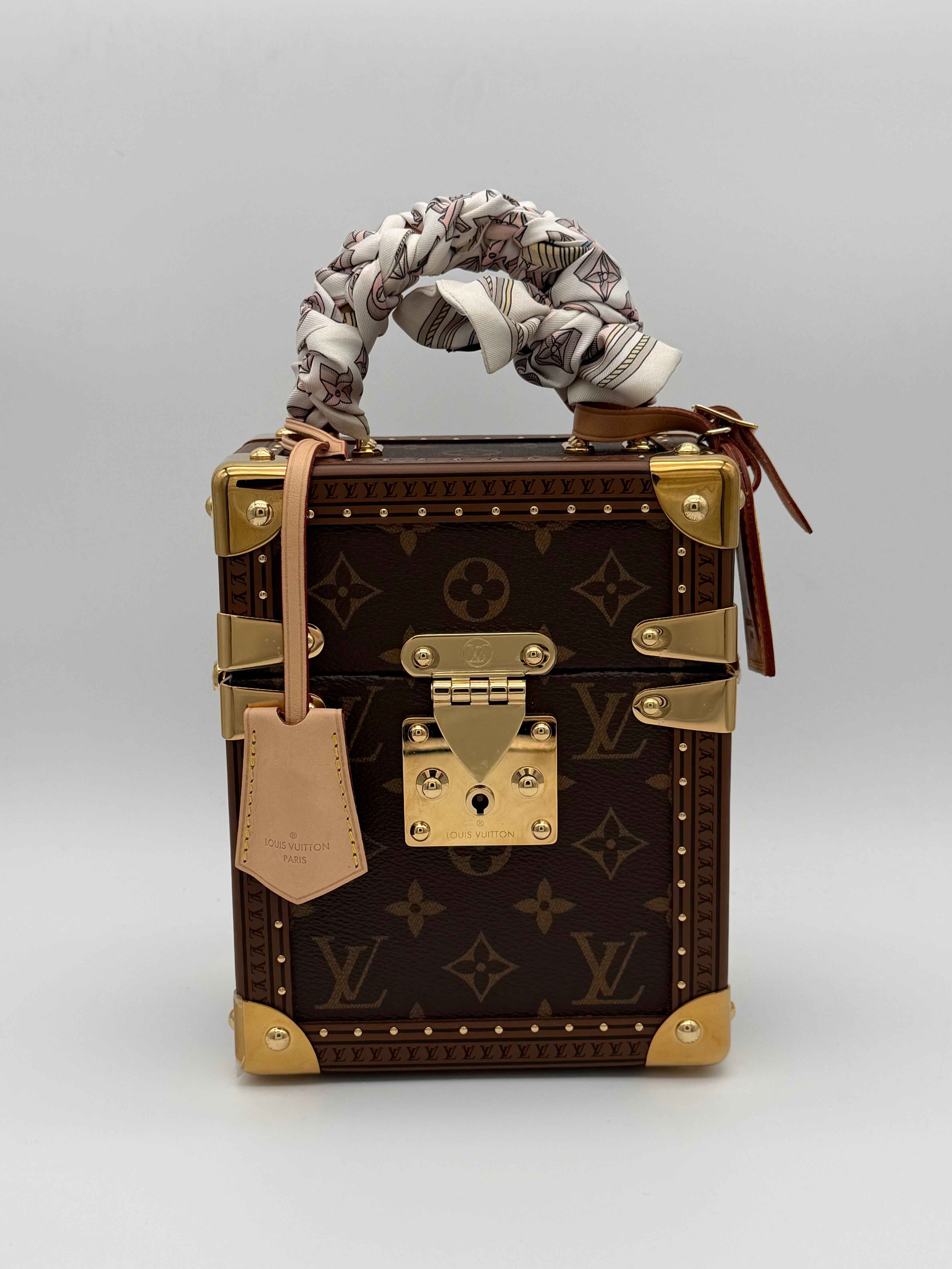 Louis Vuitton Camera Box Monogram