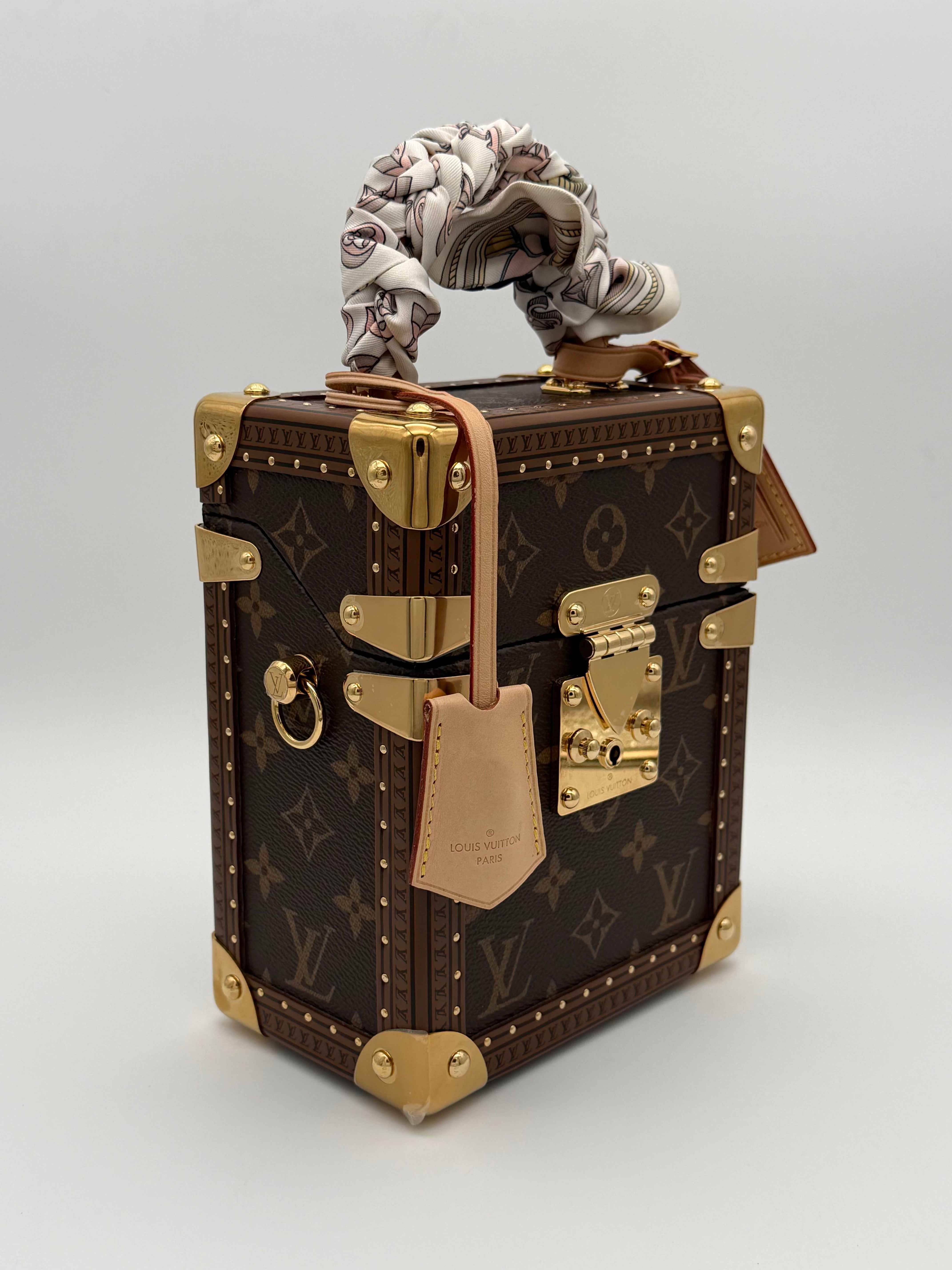 Louis Vuitton Camera Box Monogram