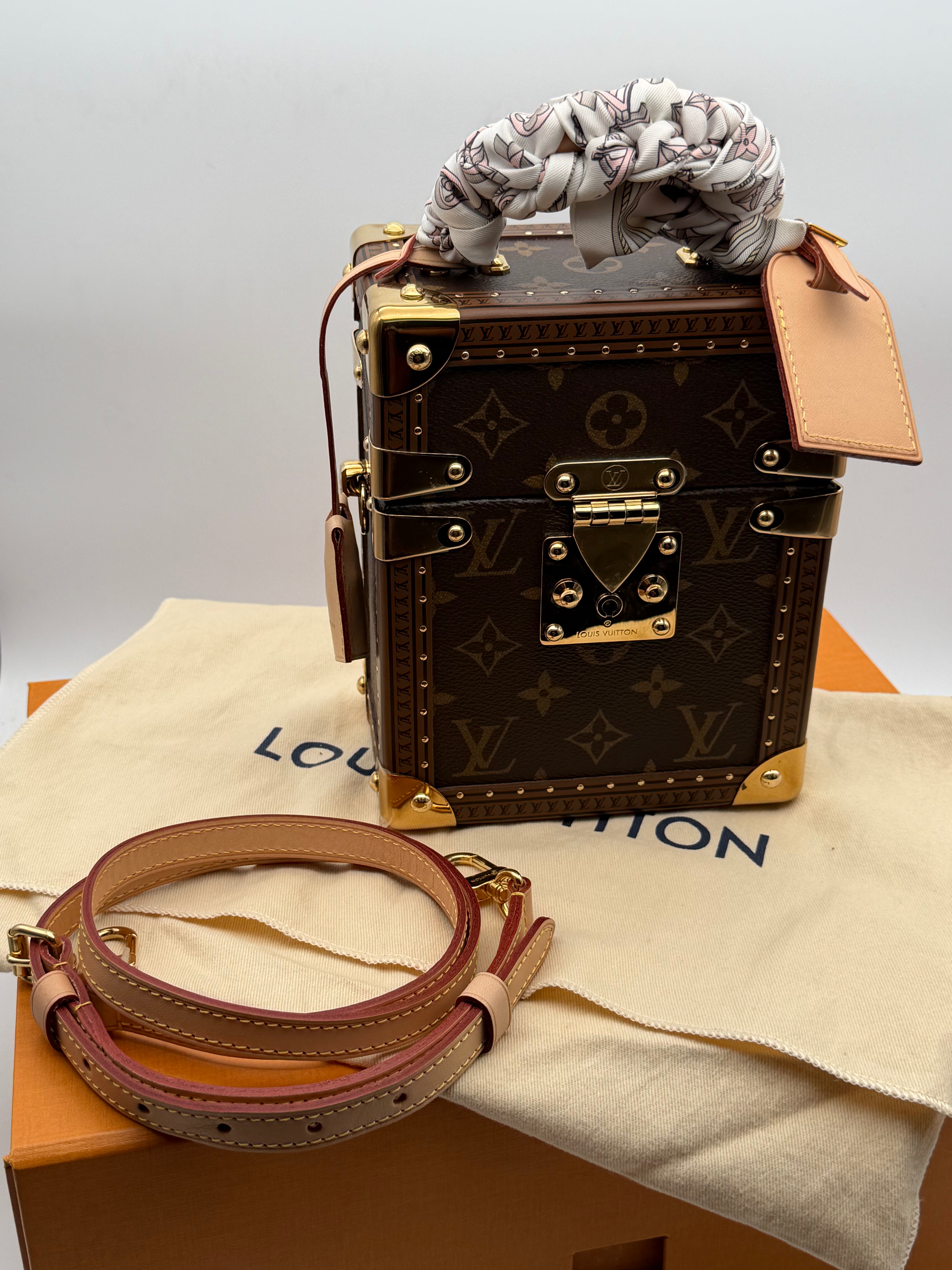 Louis Vuitton Camera Box Monogram