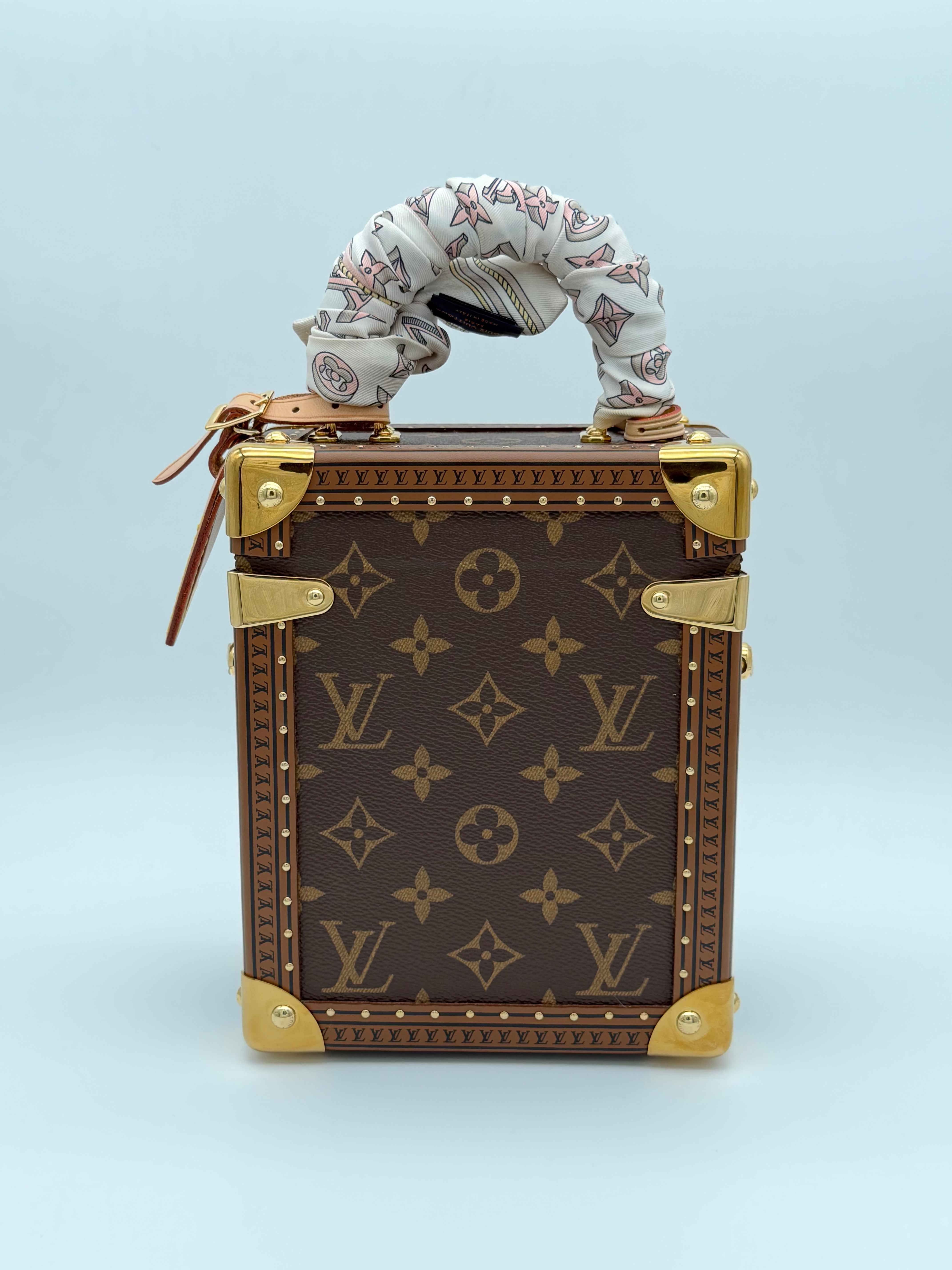 Louis Vuitton Camera Box Monogram