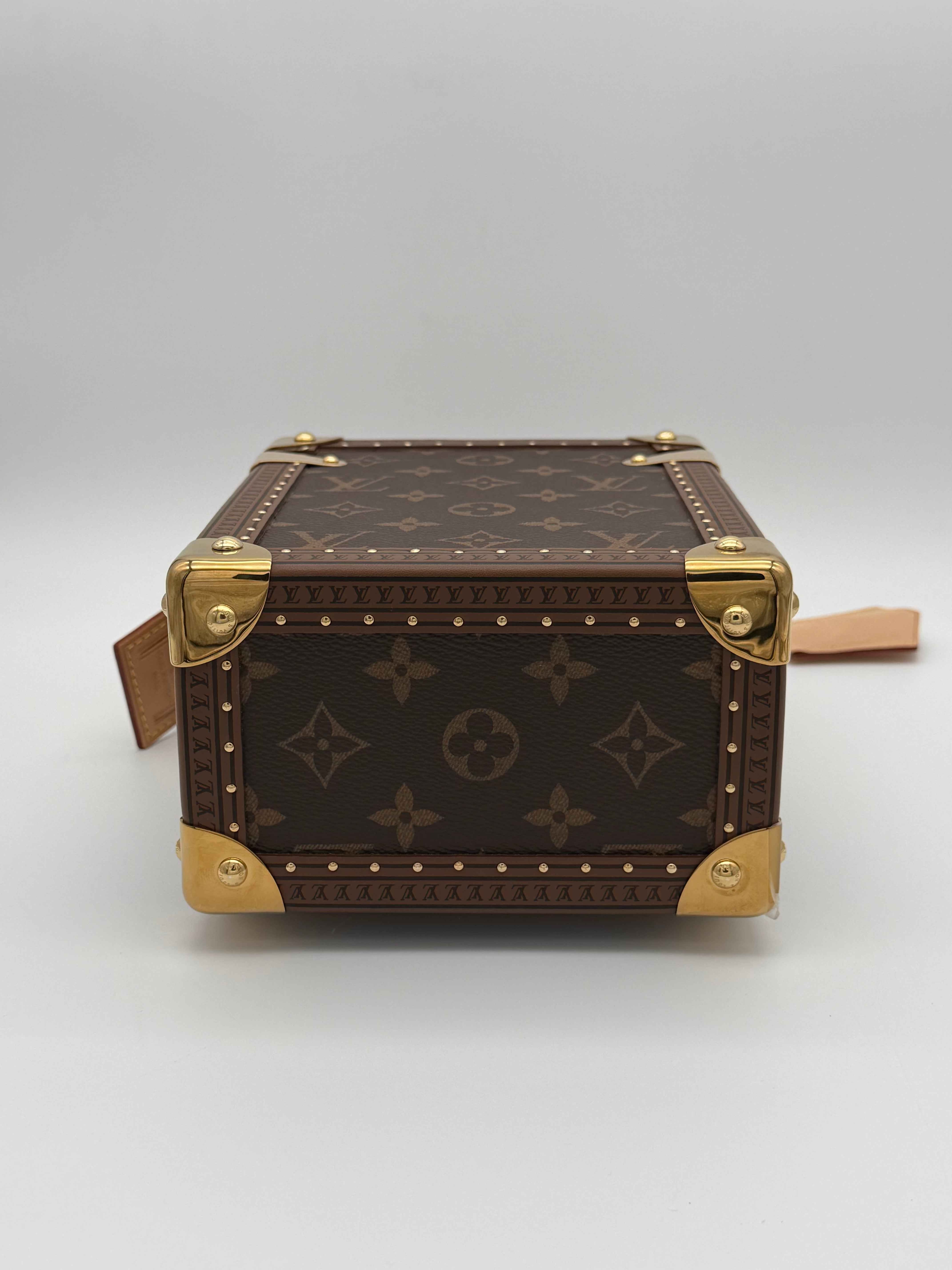 Louis Vuitton Camera Box Monogram