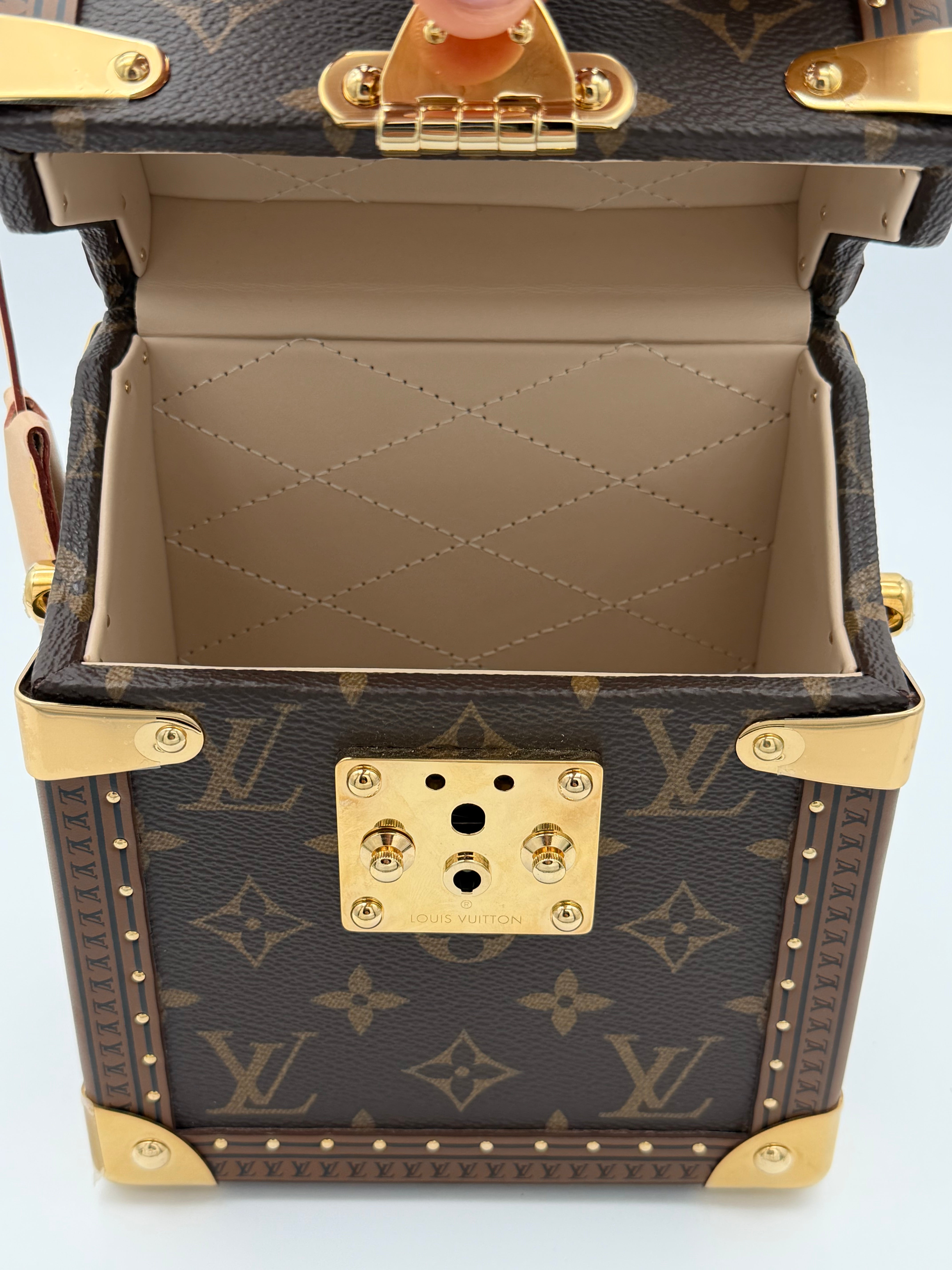 Louis Vuitton Camera Box Monogram