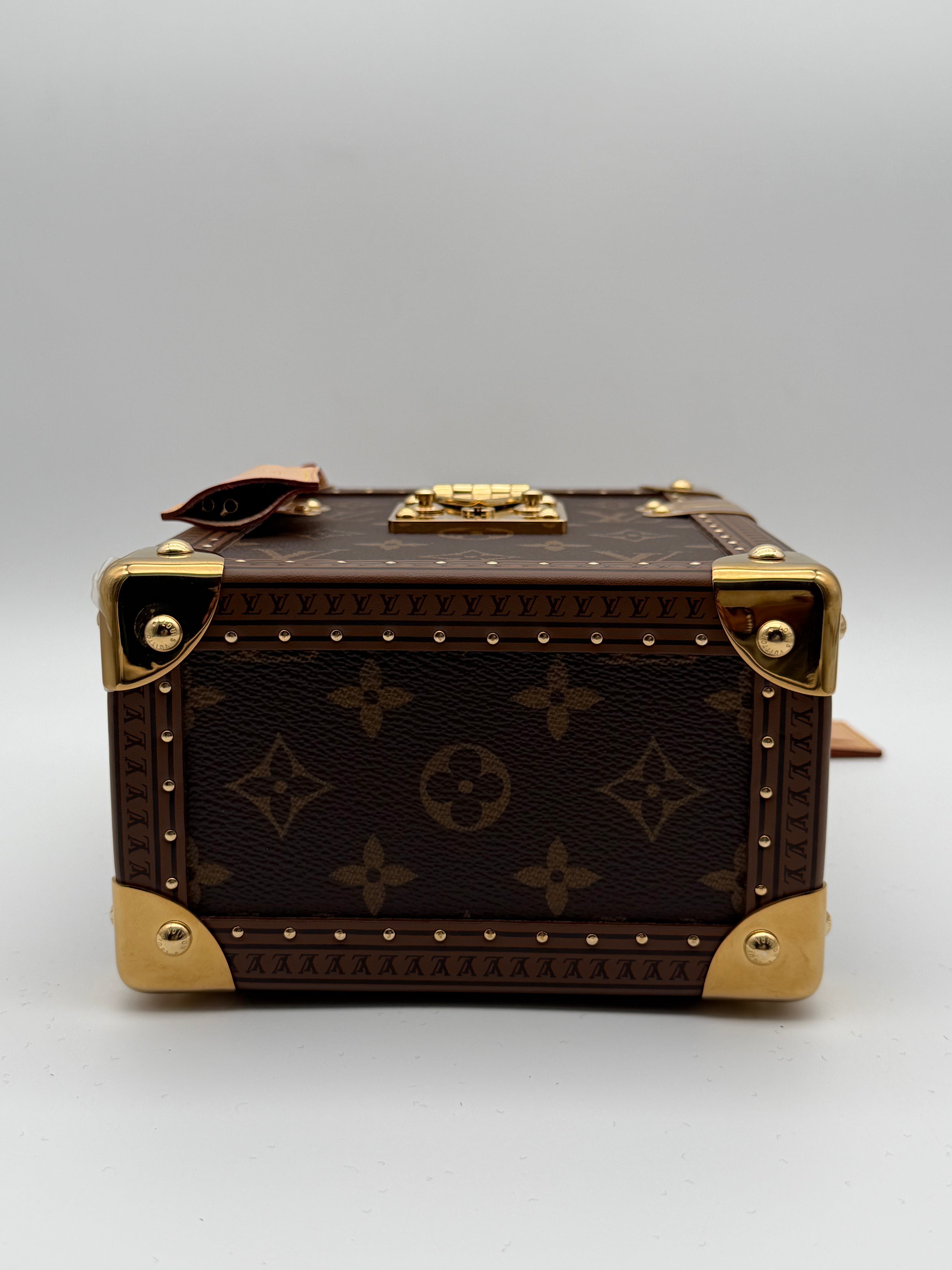 Louis Vuitton Camera Box Monogram