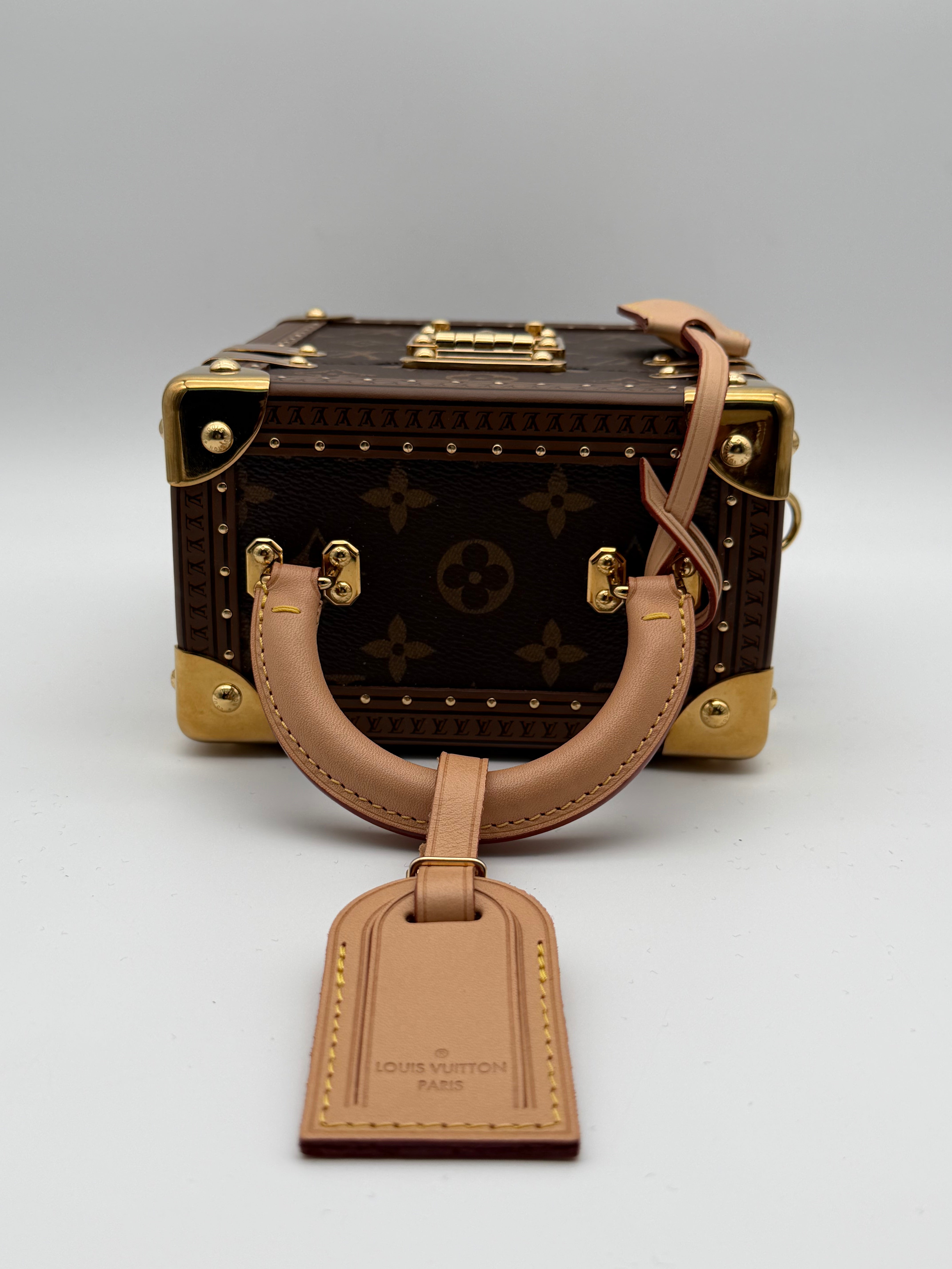 Louis Vuitton Camera Box Monogram