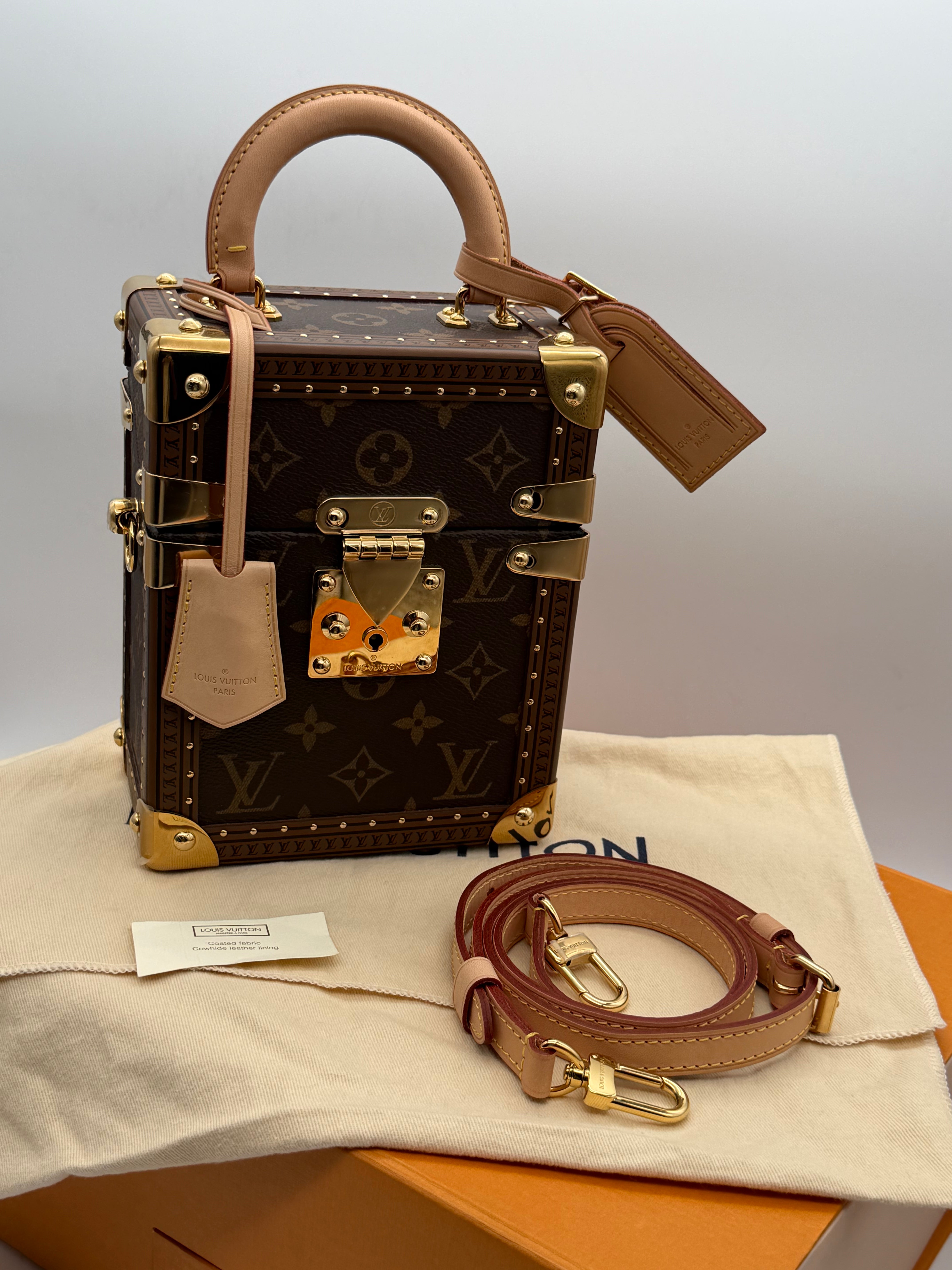 Louis Vuitton Camera Box Monogram
